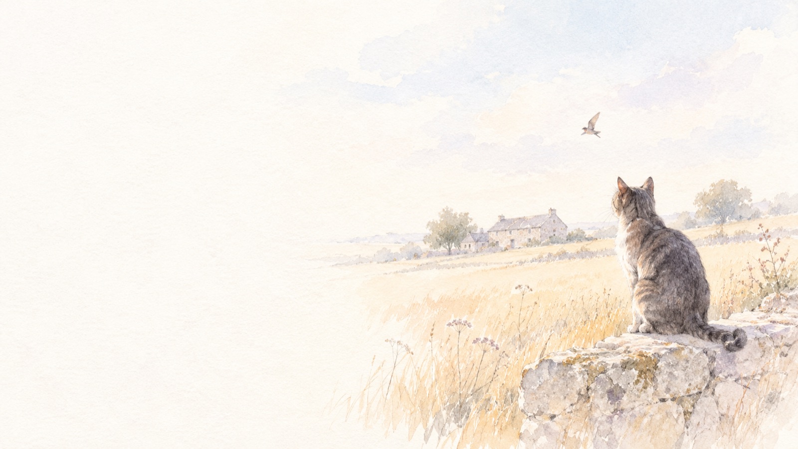 Aquarelle : un chat tigré assis sur un muret regarde un champ d'herbes sèches et une longère au loin.